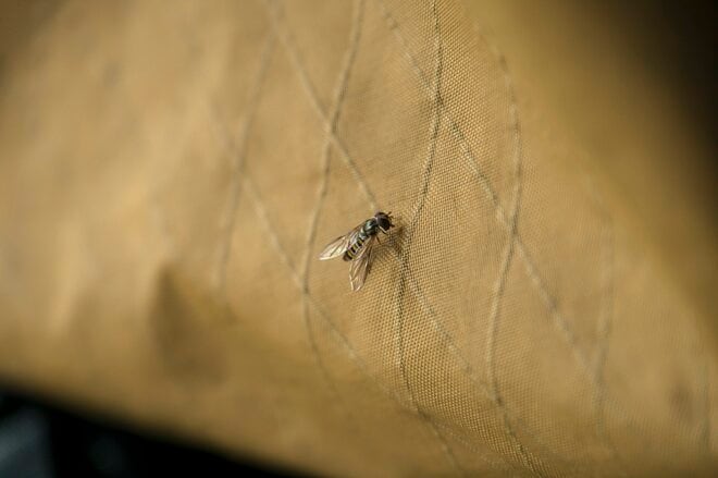 【渓流釣り】春の陽気に誘われて “フライフィッシング” 「4月並みの気温とはいえ、やはり2月…… 水温2℃台で厳しい釣果でした」 長野県・2026年の画像002