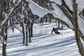 【舞子スノーリゾート・新潟県】塩沢石打ICから「1分」のエリアで至福の雪山体験をの画像004