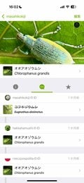 【自然観察はこれからの季節が本番】 生きもの観察にぴったりなアプリ教えますの画像003