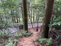 ＜紅葉前に“関西屈指”のススキの大海原もお見逃しなく！＞大阪市内から“車で小一時間で行ける”「岩湧山」ハイキングルート【里山アドベンチャー！ソトアソ日和 vol.７】の画像003