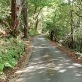 東京から四国へ移住したライターが明かす「地方での田舎暮らし・意外なおカネ事情」【実体験リポート】の画像003