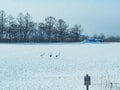 「えっ！？　汽車の窓からタンチョウが！」鉄道で楽しむ冬の旅【北海道・厳冬の釧路湿原レポート（4）SL冬の湿原号】の画像008