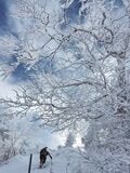 【ハイカー女子の一杯】 厳冬期の八ヶ岳・最高峰の赤岳へ最高の雪山登山！  “3杯目”  長野県 2025年の画像012