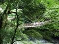 【日本の秘境】徳島県「祖谷・大歩危」の絶景！  ディープで険しい峡谷の地「かずら橋・ひの字渓谷・小便小僧」断崖＆奇岩「現地レポ」の画像010