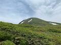 高山植物咲き誇る “楽園” シーズン到来！  8合目スタート＆首都圏から日帰りもOK「秋田駒ヶ岳」現地レポ！ お花スポット「ムーミン谷」と田沢湖の展望の画像012