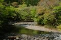 【渓流釣り】新緑キラめく渓谷へ！  歴史ある「塩原温泉」を流れる箒川キャッチ＆リリース区間でフライフィッシング  栃木県｜2026年の画像004