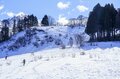 注目の冬季オリンピック新競技「SKIMO」日本選手権が富山県黒部市で開催 【第17回 SKIMO日本選手権 黒部・宇奈月温泉大会】の画像001