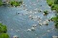 付き場を探して上へ下へ「本流ヤマメを追いかける初夏」釣行レポート【2024年6月 群馬県・利根川】の画像010