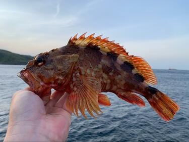 費用は1500円から 高級魚も釣れる 釣り初心者に 穴釣り をおすすめする 5つの理由 アクティビティ ニュース Bravo Mountain