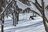 【舞子スノーリゾート・新潟県】塩沢石打ICから「1分」のエリアで至福の雪山体験をの画像004