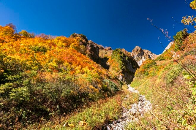 【百名山】秋色に染まる雨飾山へ！ 「山肌を覆う絢爛な彩りが見事」紅葉登山  長野県、小谷温泉ルート 2024年の画像006