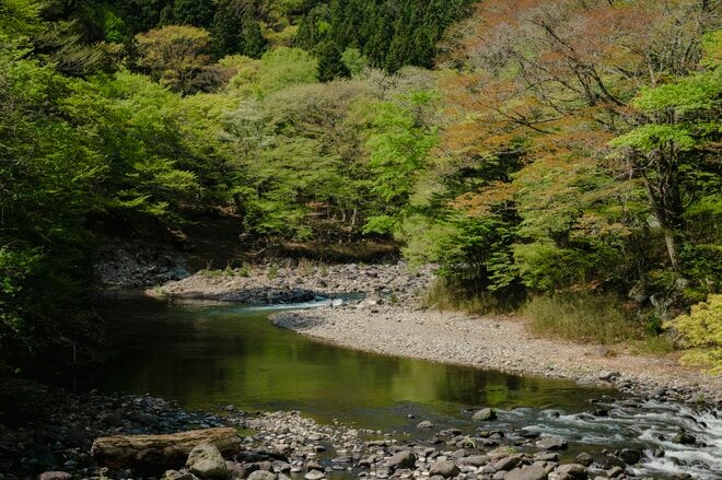 【渓流釣り】新緑キラめく渓谷へ！  歴史ある「塩原温泉」を流れる箒川キャッチ＆リリース区間でフライフィッシング  栃木県｜2026年の画像004