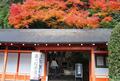 京都「紅葉の奥座敷・パワースポットめぐり」約2時間ハイキング！  源義経ゆかり「鞍馬寺」から、イベント盛りだくさん「貴船神社」錦秋レポの画像011