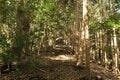 そそり立つ切岸が行く手を阻む。山陰の知られざる名城  石見国・周布城〈前編〉（島根県浜田市）【戦国の山城を攻める vol.01】の画像005