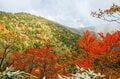 【日本百名山】感動しっぱなし！ 百聞は一見にしかず！ 紅葉の恵那山へ《長野県・岐阜県》2022年の画像006