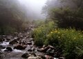 「南アルプス」南部の名峰一筆書き！ 茶臼岳・聖岳・兎岳・赤石岳・荒川岳「夏休み8日間」贅沢プランと結果！「登山レポ」の画像004