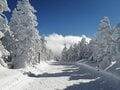 「白い絶景」雪と氷が作り出す、冬だけの自然のアート！  キャンプ・ハイキング・スキー＆スノーボードで見たい「特別な景色」4選レポート！の画像005