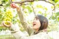 【鹿児島県霧島市】旅行者の心と体を “きれい” にする鹿児島旅！  韓国岳から見る「大浪池の絶景」と「希少な天然泥湯」さくらさくら温泉の画像015