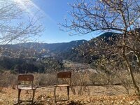 早春の「お花見登山」日本最大級2万本の蝋梅「寄ロウバイまつり」と鍋割山ハイキング【神奈川県足柄上郡松田町】