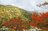 【日本百名山】感動しっぱなし！ 百聞は一見にしかず！ 紅葉の恵那山へ《長野県・岐阜県》2022年の画像006