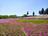 まるで「ピンクの花の海」！  絶景「芝桜の丘」咲き誇る40万株＆展望「見晴らしの丘」ほか「秩父・羊山公園」現地レポの画像002