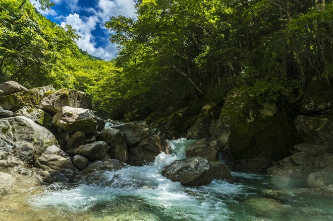 【渓流釣り】涼を求めて夏色の渓へ！ 「麗しいヤマトイワナたち！ 儚げな美白、続いて渋い黒」 後追いでのんびりフライフィッシング   長野県伊那谷  2025年の画像001