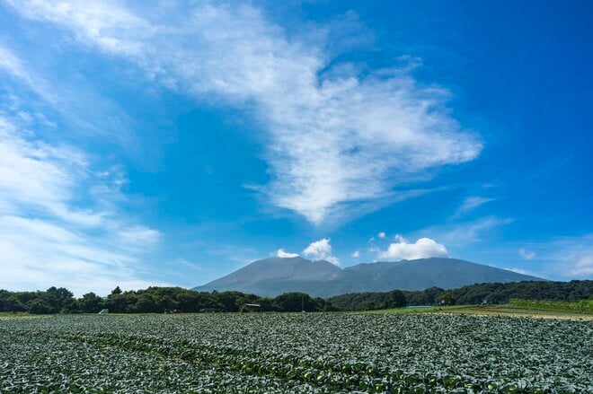 【渓流釣り】真夏の北軽井沢で出会った 「麗しの夏ヤマメ」 タイミングこそが要、わずかな雨に期待を寄せてフライフィッシング！  群馬県・2025年の画像001