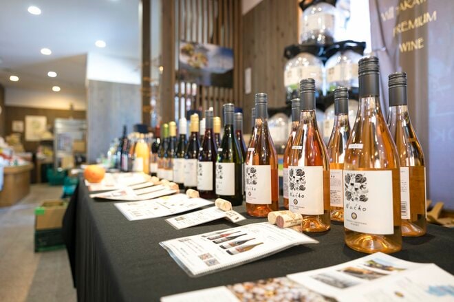 【ローカルスキー場探訪】高山村・松川渓谷、温泉街道の最高地点「ヤマボクワイルドスノーパーク」で楽しむ地形とパウダーで笑顔がノンストップ！  レトロな茶屋でほっこり気分｜長野県 2026年の画像011