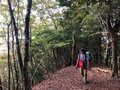 【日本初の長距離トレイル】2024年で設立から50周年「東海自然歩道」って、どんな道？の画像016