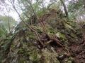 秘境感漂う静かな低山「鹿倉山」 神々しい社＆苔むす岩々と展望のハイキング【京都府福知山市・兵庫県丹波篠山市】の画像011