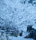 【日本百名山】初冬の「剣山」で絶景を堪能！  静かな天空の散歩 〈徳島県〉2024年の画像002