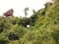 紅葉シーズンも絶景！  日本三大渓谷美のひとつ「寒霞渓」 ロープウェイ山麓駅からの2時間ハイキング！  見どころ多彩「小豆島」観光とセットもOKの画像002