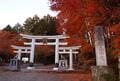 見ごろ10月下旬から！  紅葉の奥秩父「三峯神社」＆「大血川渓谷」現地レポ！  関東最大級パワースポットと渓谷美の絶景 “秋真っ盛り” 散策の画像003