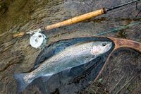 通年で渓流釣りが楽しめる！  山里を流れる「五十嵐川」のキャッチアンドリリース区間【フライフィッシング】 新潟県三条市・2025年