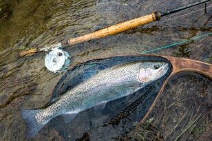 通年で渓流釣りが楽しめる！  山里を流れる「五十嵐川」のキャッチアンドリリース区間【フライフィッシング】 新潟県三条市・2025年