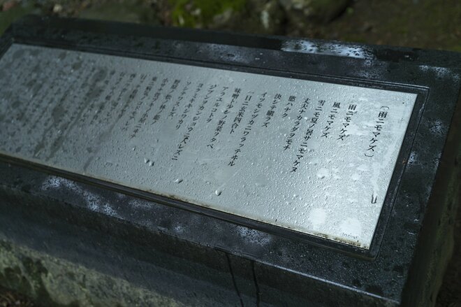 【夏休み】【みちのく】【イーハトーブ】『雨ニモマケズ』湯治と【渓流釣り】の旅「清流のせせらぎと河鹿の音色を聴きながら宮沢賢治の世界に思いを馳せる」大沢温泉・花巻の夏2022年の画像014