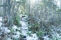 希少！ 【絶滅危惧種】北海道・ナキウサギのキュートすぎる“もふもふ“姿と鳴き声【2021年・東大雪】の画像005