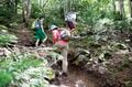 「日光白根山」関東以北“最高峰” 頂上から見る360度の大展望と高山植物に恵まれた美しき山【首都圏発！週末に行ける百名山ガイド vol.4】の画像004