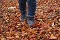 【まだ間に合う！晩秋の山歩き】紅葉終盤は落ち葉歩きで決まり「 駐車場から1時間以内の絶景」晩秋ハイク・東西2選【今日も山旅気分 vol.26】の画像008