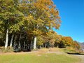 今週末の紅葉見るならどこ？ 名所＆人気スポットから最新情報をお届け「WEEKLY紅葉ニュース」【2023年10月第3週】の画像009
