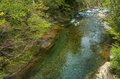 【渓流釣り】「放流なし！ 美しい天然イワナが息づく渓へ」志賀高原・雑魚川を脅かす「新たな脅威」とは  長野県・2022年の画像007