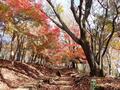 低山ハイキングから1,000m本格登山まで！ 「神奈川の山域トップ5」解説！の画像003