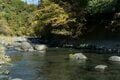 「10月に入ったけれど…… まだ渓流釣りができる自然河川」 秋の気配漂う静岡・芝川でフライフィッシング！ 美しいアマゴと銀ピカのニジマスに出会うの画像012