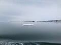 流氷だけじゃない！  北海道・網走の魅力再発見！  大型砕氷船「おーろら号」乗船レポート！の画像002