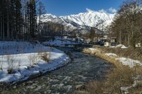 【渓流釣り】解禁ラッシュ！ 雪を踏み締めポイント探し「ようやく釣れた」待望のファーストフィッシュは！？ 長野県