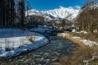 【渓流釣り】解禁ラッシュ！ 雪を踏み締めポイント探し「ようやく釣れた」待望のファーストフィッシュは！？ 長野県