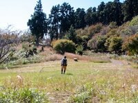 日本にもいた伝説巨人・ダイダラボッチゆらいの里山「ダイラボウ」からの「春の富士山と駿河湾」絶景