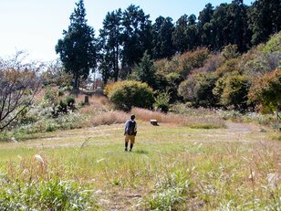 日本にもいた伝説巨人・ダイダラボッチゆらいの里山「ダイラボウ」からの「春の富士山と駿河湾」絶景