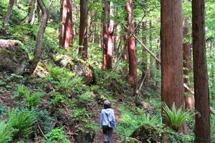 本当に会った「危なすぎる」登山者！ 「地図も水も時間もナシ」で…その後を想像するだけで怖い「4つの実体験」レポ
