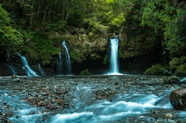 10月に入ったけれど…… まだ渓流釣りができる自然河川」 秋の気配漂う